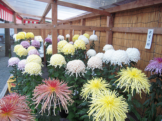 ��R�P��e�ԓW �Q�O�P�V�N�P�P���X���`�P�X���܂�